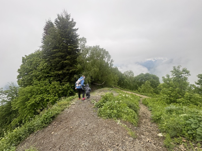     . ,        . 1/3         .