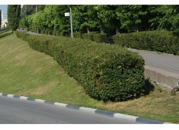      , , , , , , ,    (), ,   