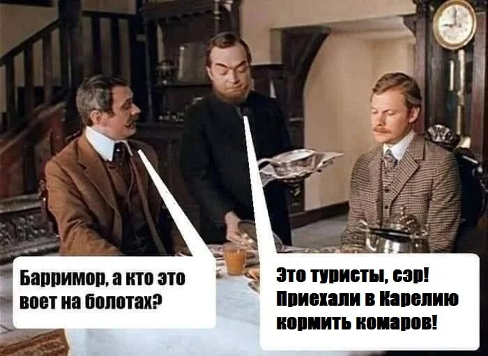 vjqsij6i.webp