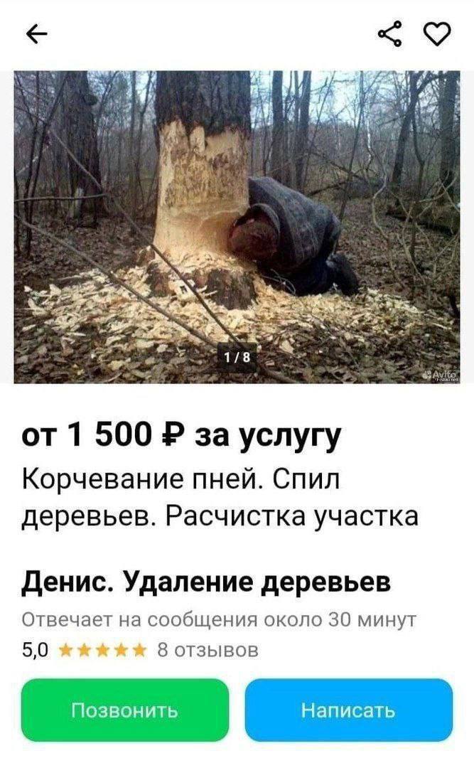   ,  , , ,  , , 