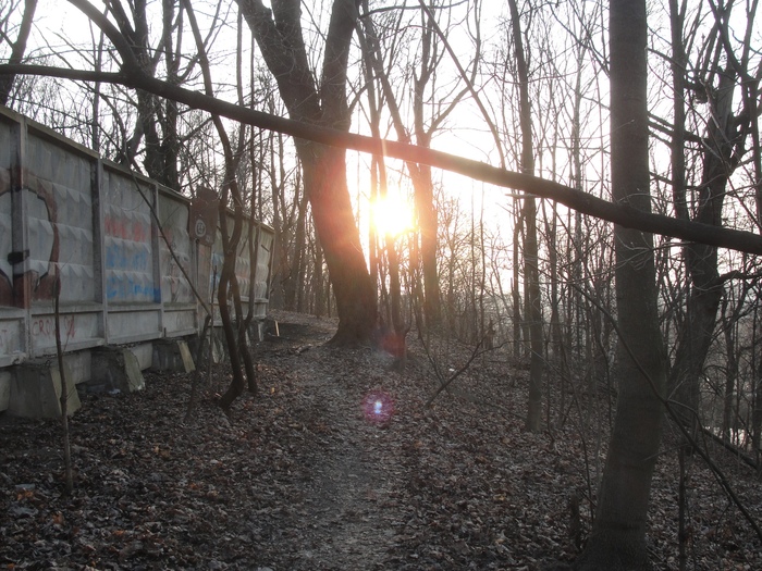  ,  ! ( , , 29  2020)