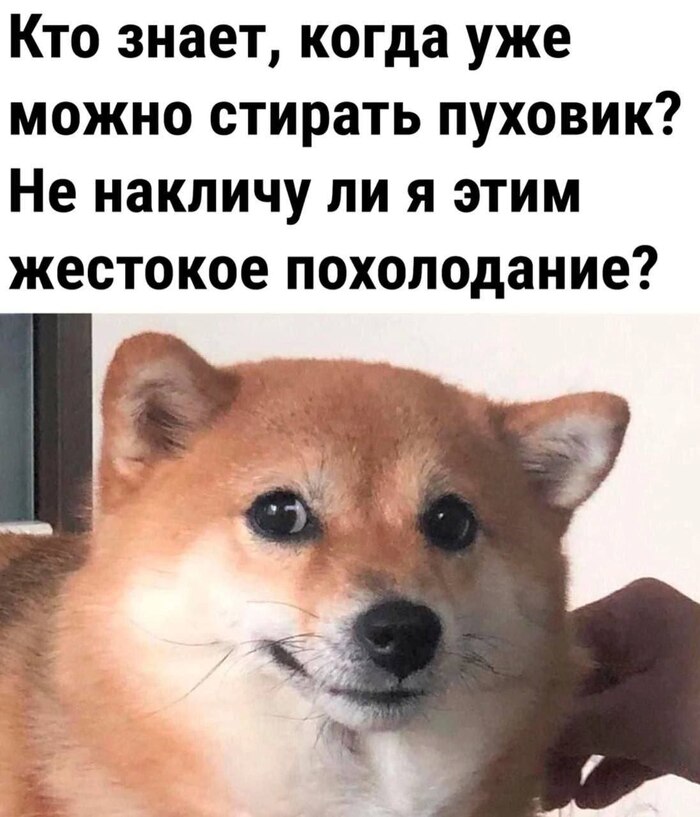    ,   , , , , , 