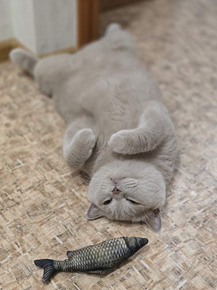 �� ��� ����� ������� �� ���� ...