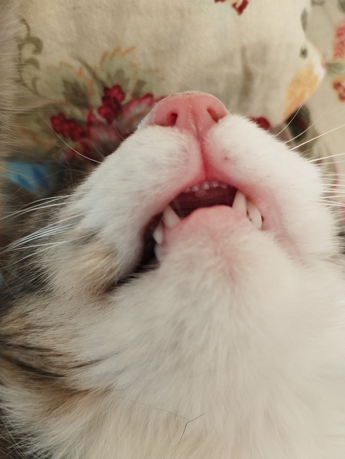     , ,   