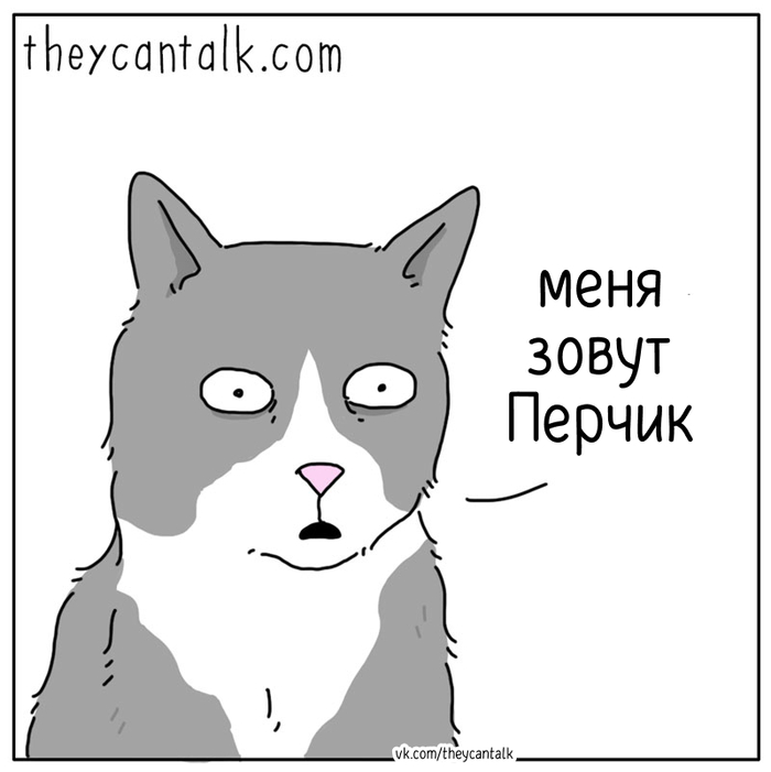  Theycantalk,  , , , ,   , , Telegram (),  ()