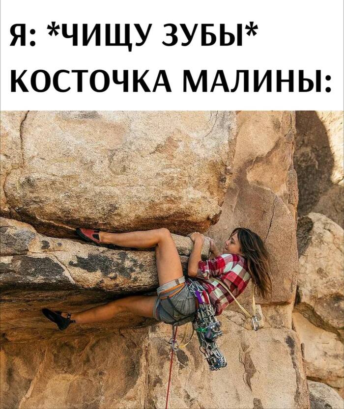    ,   , , ,  , Telegram ()