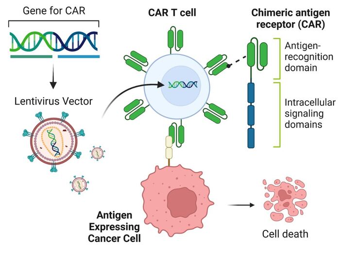  :   CAR-T      , , Car-t, ,   , 