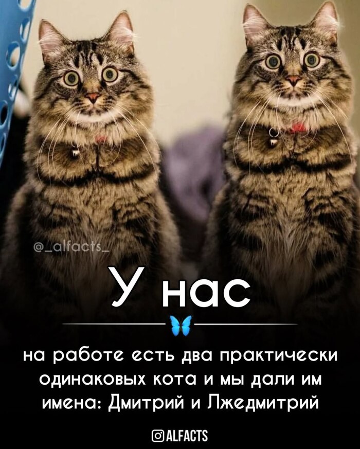  , , ,  , 