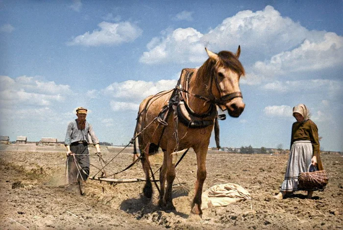 Повседневная жизнь СССР 1930-е годы. 20 раскрашенных фотографий Историческое фото, 20 век, Старое фото, Фотография, СССР, 1930-е, Колоризация, Длиннопост