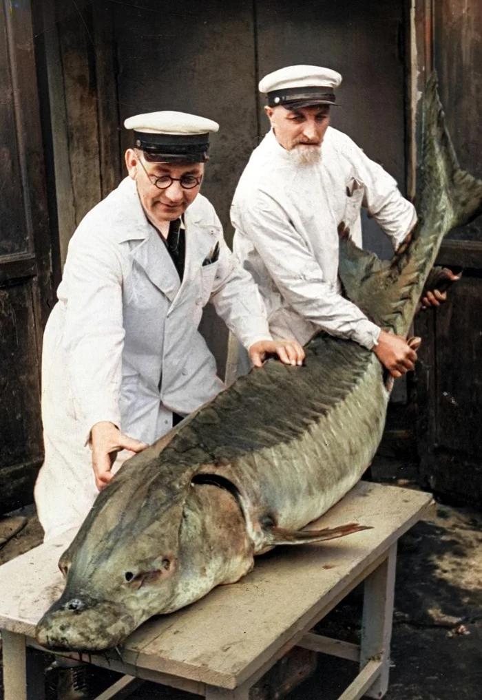 Повседневная жизнь СССР 1930-е годы. 20 раскрашенных фотографий Историческое фото, 20 век, Старое фото, Фотография, СССР, 1930-е, Колоризация, Длиннопост