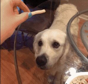   , , , 