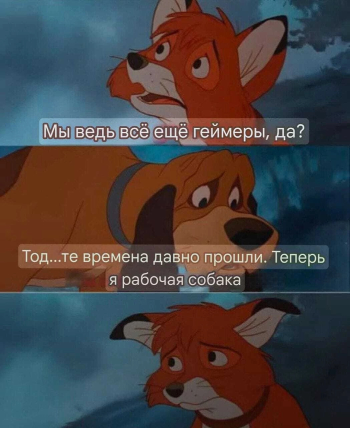  ...  , ,   , Telegram (),   