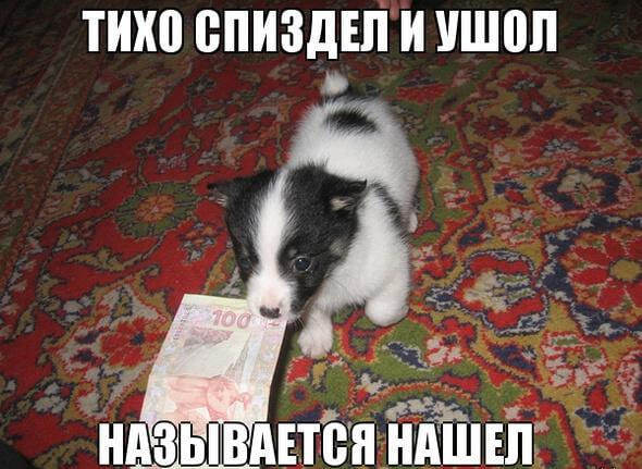     ,         OZON,  , , , , , 