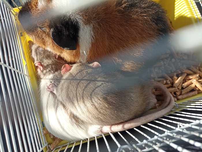   , ,  ,  , , 