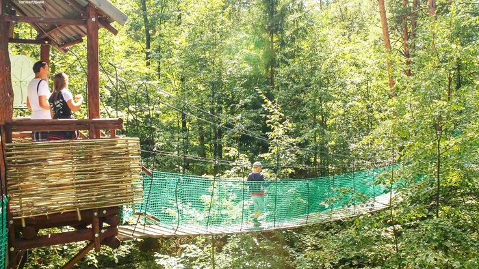 "Сквозь листву" - эко-тропа в Приокско-Террасном заповеднике