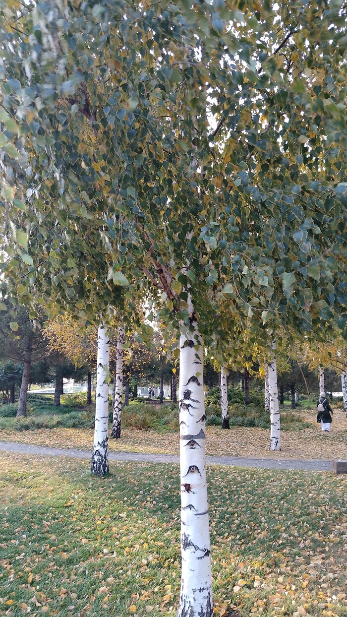       ,  &#x1F1F7;&#x1F1FA;.