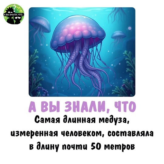    ? , , , 