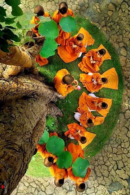 Учение — просветление