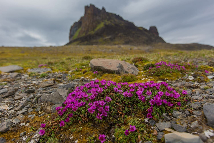 ������-����� ������ ����� ������-������!