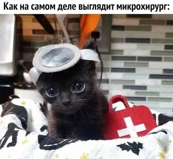 А вы как думали ?