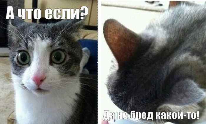 Женский оргазм - существует ли он на самом деле?