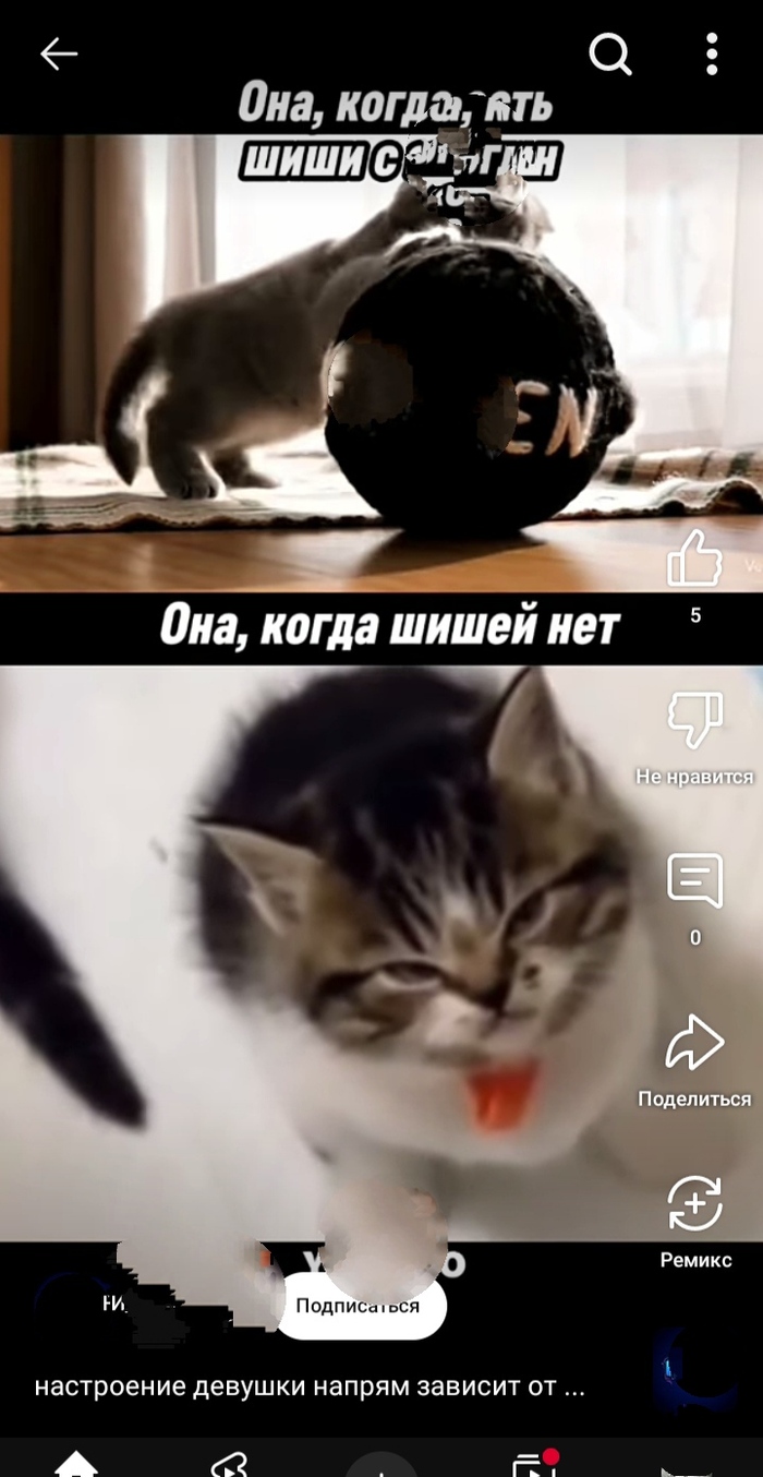  ...   , , , , , , YouTube, 