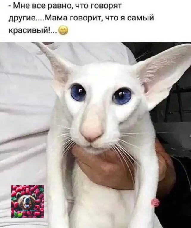   , , , , , , ,  ,   