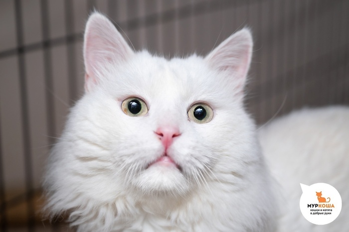      !   , , ,   ,  , , ,  ,  , ,  , 