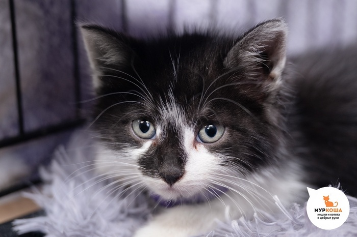  , 2 , .   25.05.2025 .