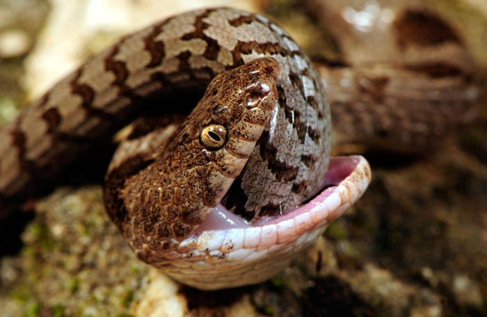  :     .     ? , , ,  ,  ,   (), 