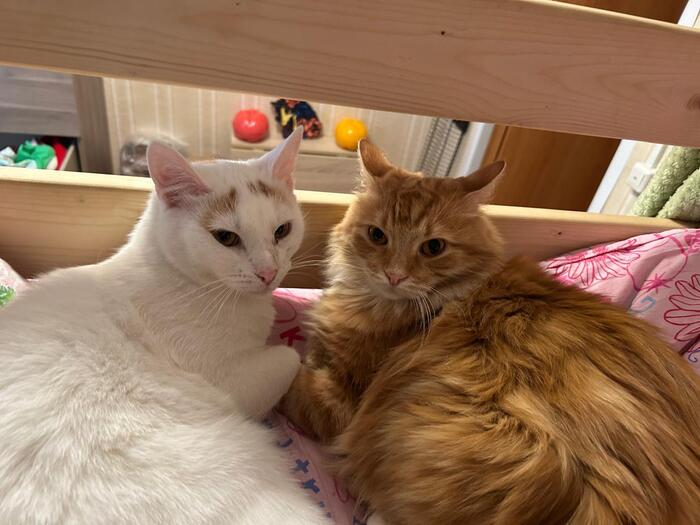 Доброго солнечного утра!