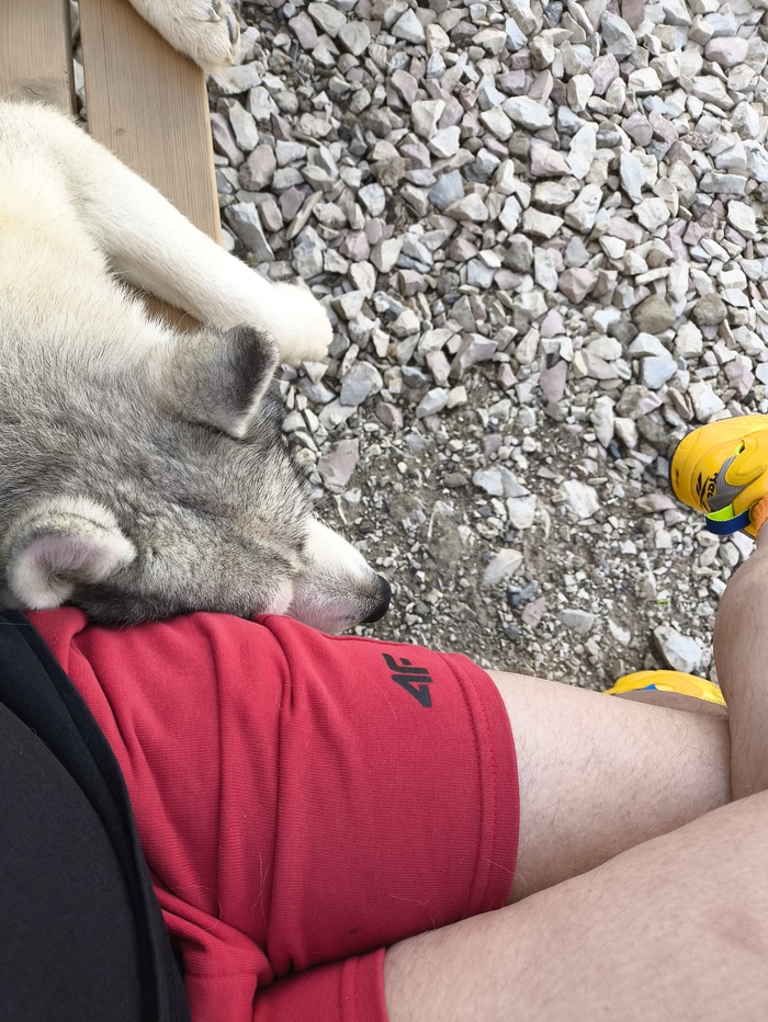 ����� ������!