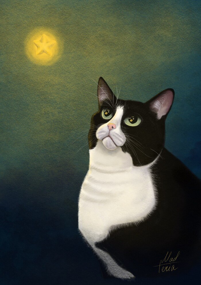 Котик Шпротик