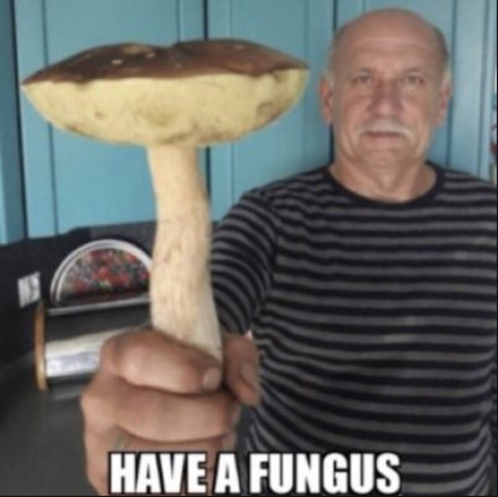      ,    &quot;&quot;,    