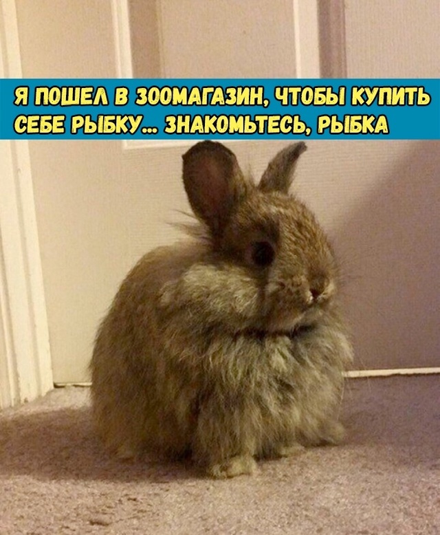    , , , 