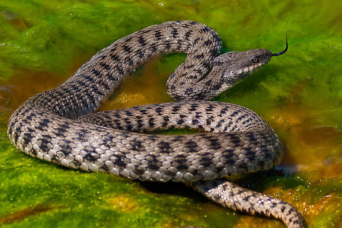   "":   .     , ,  ,  , , , , , 