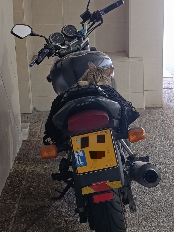  , , , , , Suzuki