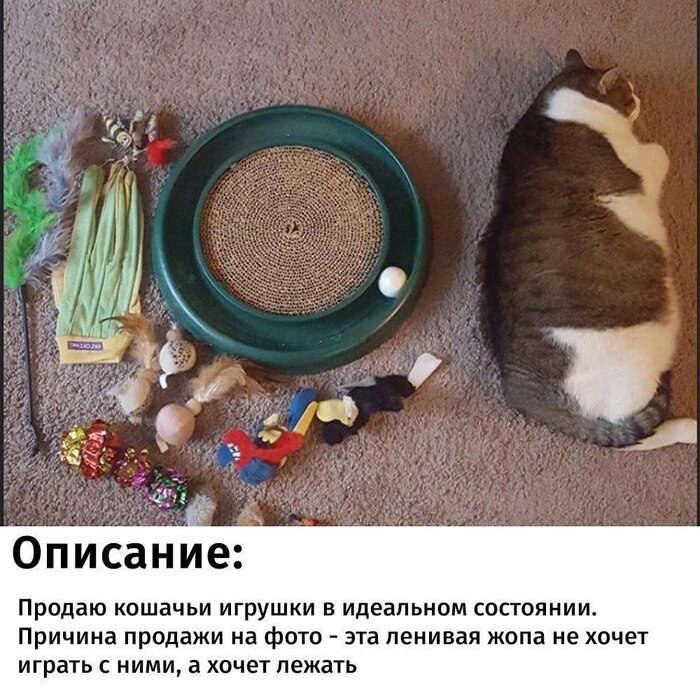  , , , , ,  , 