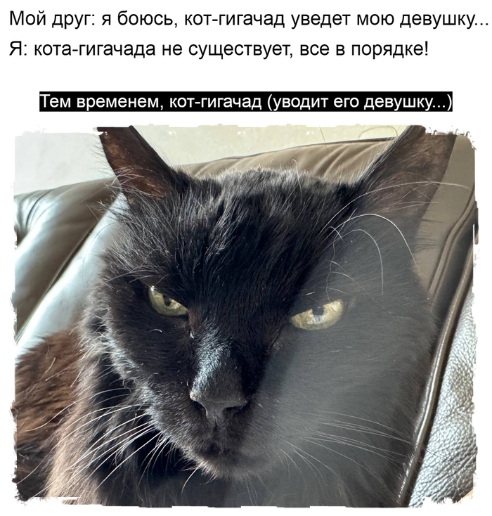 -  ... , 