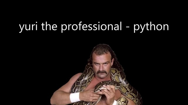   ""  (  )  IT, Python, , Web-, , It 