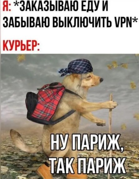     , ,  ,   , , VPN, Telegram (),  
