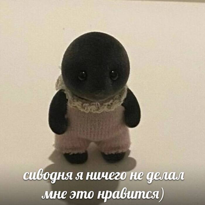  -   ,   , , ,  