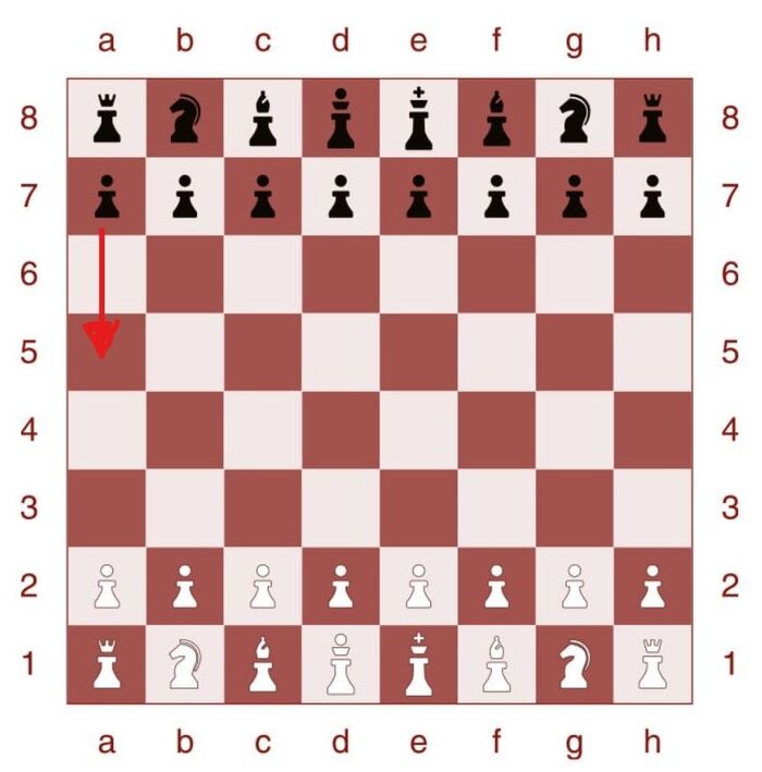 Шахматные знатоки, подсказывайте – это что за гамбит такой? Какой тайный смысл в названии??