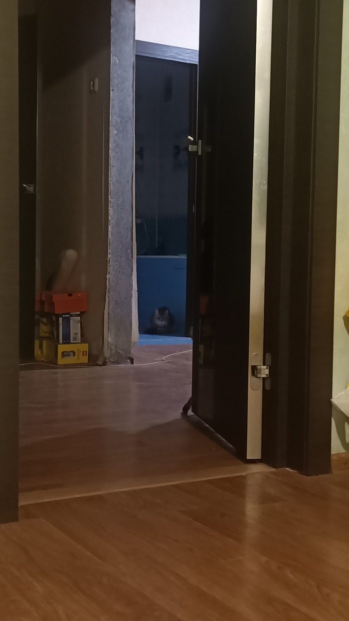  , , ,  