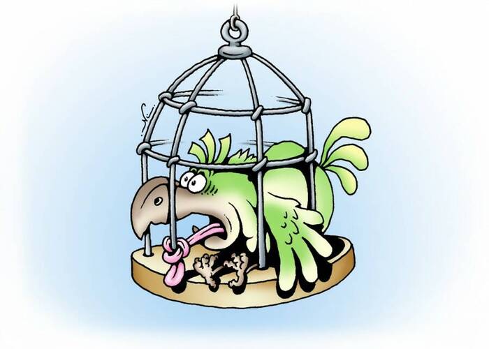 ������� ������� ����