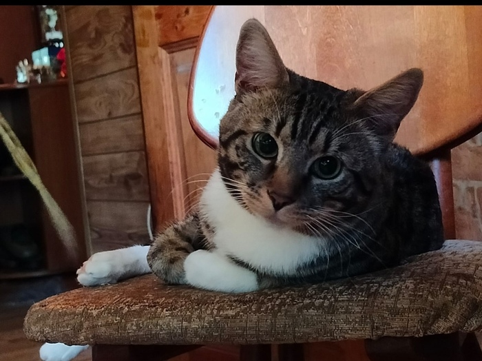         ,  ,  , , ,  ,  , ,   ,  