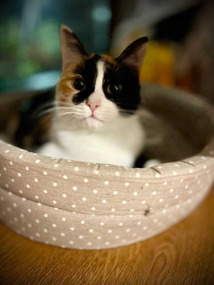        .    ,   ,  , ,  , 