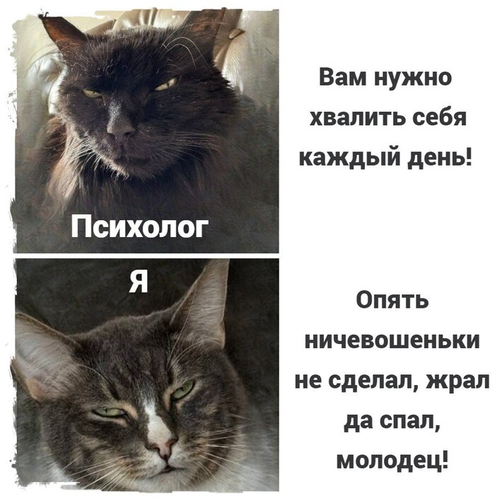 Каждый день себя хвалю я!