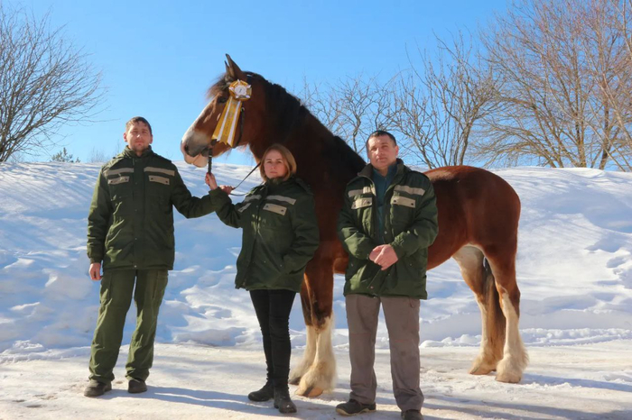 Снова Хина, но уже в полный рост. Необходимым показать и её во всей красе, ведь когда ты тяжеловоз, просто несолидно прятать такую мощь и стать!