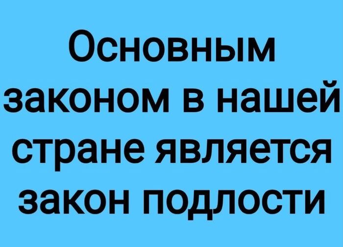 :   ,   ,  , Telegram ()
